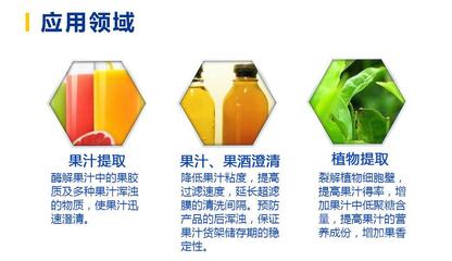 河北润步液体1万食品级果胶酶 植物提取果酒果汁葡萄酒酿造果胶酶